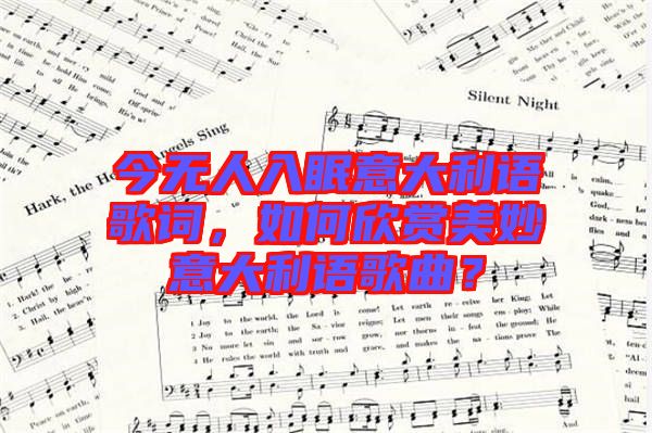 今無人入眠意大利語歌詞，如何欣賞美妙意大利語歌曲？