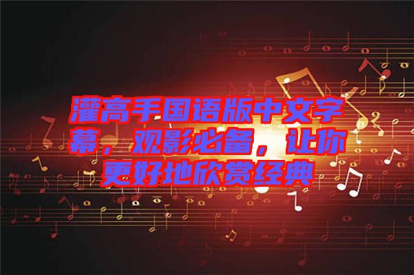 灌高手國語版中文字幕，觀影必備，讓你更好地欣賞經(jīng)典