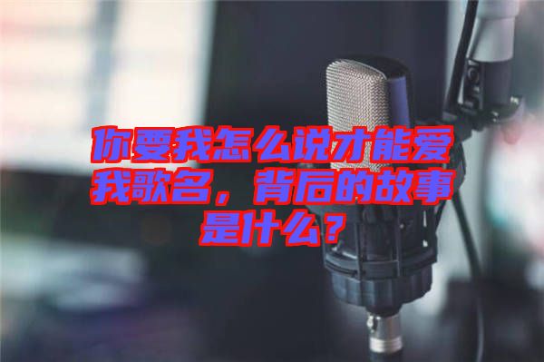 你要我怎么說(shuō)才能愛(ài)我歌名，背后的故事是什么？