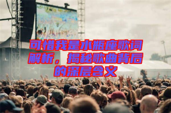 可惜我是水瓶座歌詞解析，揭秘歌曲背后的深層含義