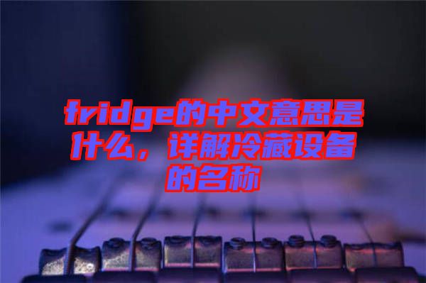 fridge的中文意思是什么，詳解冷藏設(shè)備的名稱