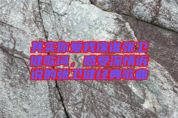 其實(shí)你愛(ài)我像誰(shuí)張衛(wèi)健歌詞，感受深情訴說(shuō)的張衛(wèi)健經(jīng)典歌曲