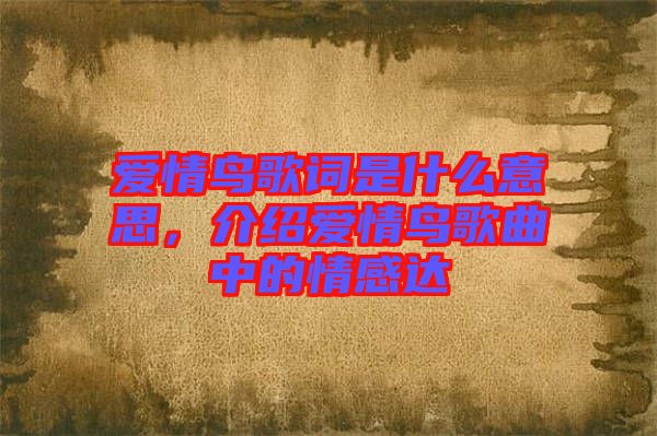 愛情鳥歌詞是什么意思，介紹愛情鳥歌曲中的情感達