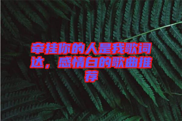 牽掛你的人是我歌詞達(dá)，感情白的歌曲推薦