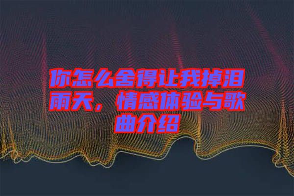 你怎么舍得讓我掉淚雨天，情感體驗(yàn)與歌曲介紹