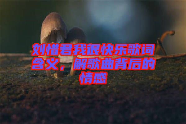 劉惜君我很快樂歌詞含義，解歌曲背后的情感