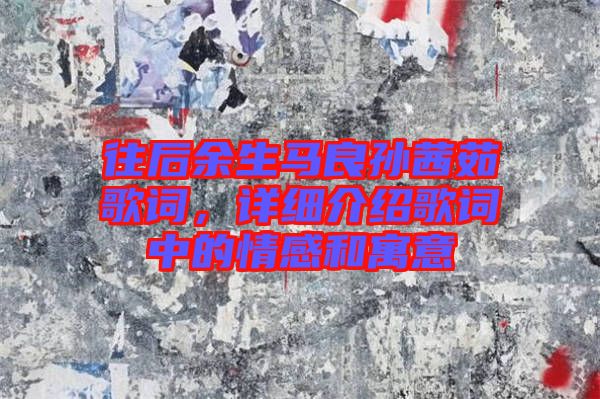 往后余生馬良孫茜茹歌詞，詳細介紹歌詞中的情感和寓意