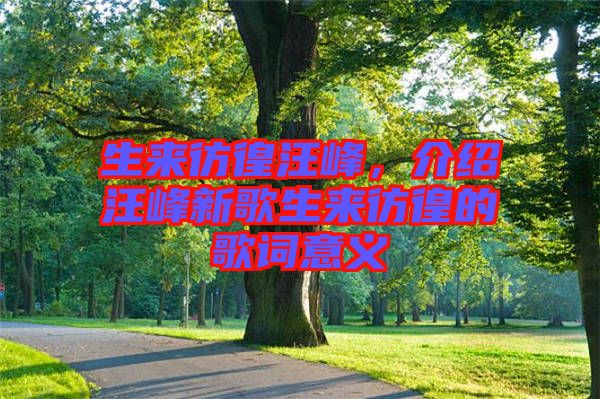 生來彷徨汪峰，介紹汪峰新歌生來彷徨的歌詞意義