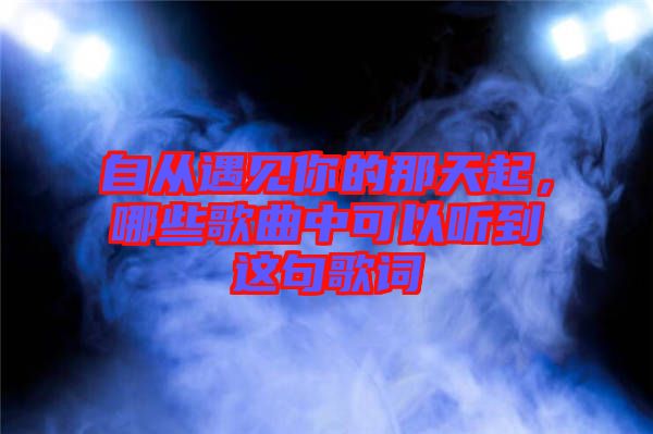 自從遇見你的那天起，哪些歌曲中可以聽到這句歌詞