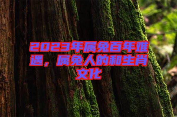 2023年屬兔百年難遇，屬兔人的和生肖文化