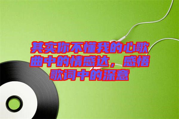 其實(shí)你不懂我的心歌曲中的情感達(dá)，感悟歌詞中的深意