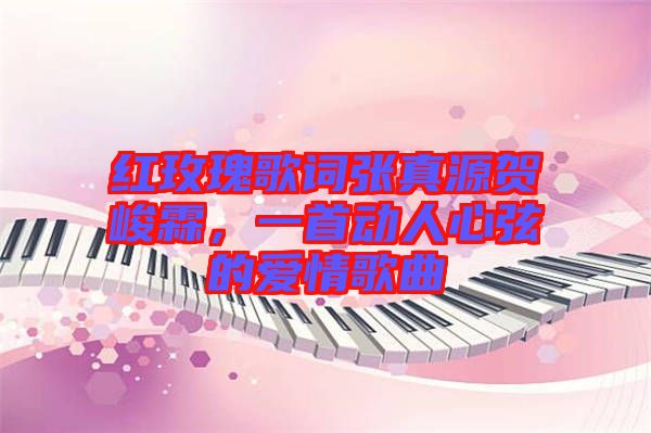 紅玫瑰歌詞張真源賀峻霖，一首動(dòng)人心弦的愛(ài)情歌曲