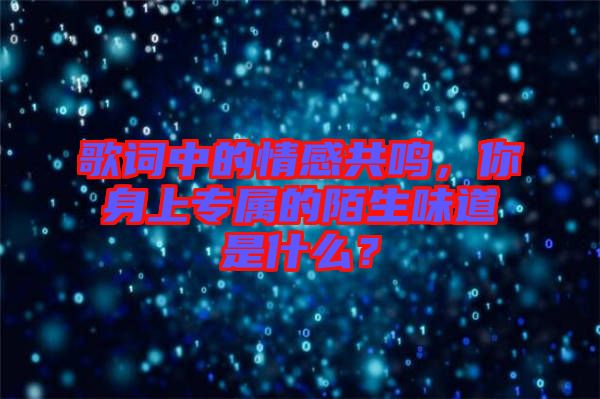 歌詞中的情感共鳴，你身上專屬的陌生味道是什么？