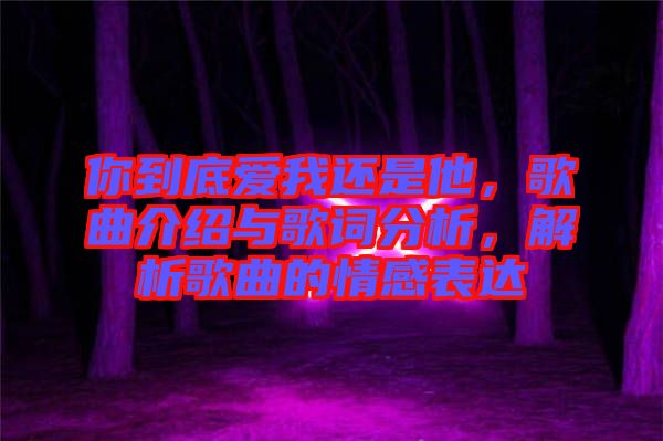 你到底愛我還是他，歌曲介紹與歌詞分析，解析歌曲的情感表達