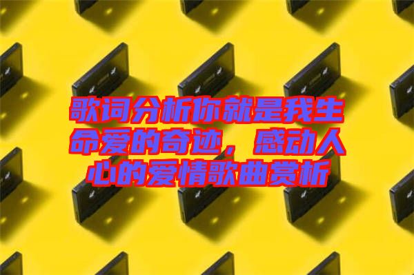 歌詞分析你就是我生命愛的奇跡，感動人心的愛情歌曲賞析