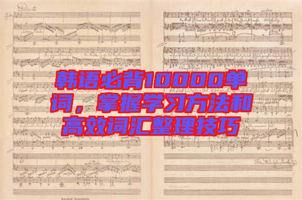 韓語(yǔ)必背10000單詞，掌握學(xué)習(xí)方法和高效詞匯整理技巧