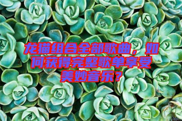 龍貓組合全部歌曲，如何獲得完整歌單享受美妙音樂？