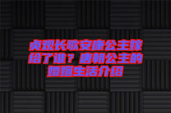 貞觀長歌安康公主嫁給了誰？唐朝公主的婚姻生活介紹