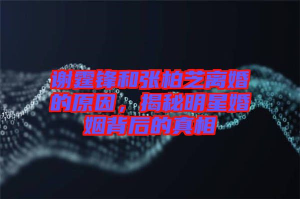 謝霆鋒和張柏芝離婚的原因，揭秘明星婚姻背后的真相