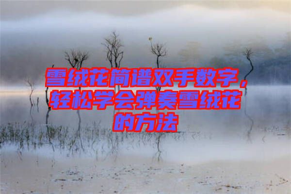 雪絨花簡譜雙手?jǐn)?shù)字，輕松學(xué)會彈奏雪絨花的方法