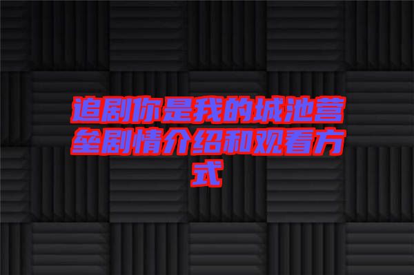 追劇你是我的城池營(yíng)壘劇情介紹和觀看方式