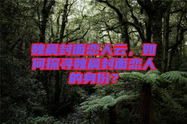 魏晨封面戀人云，如何探尋魏晨封面戀人的身份？