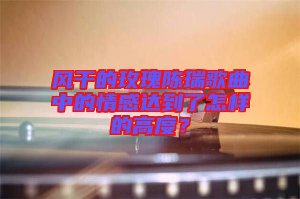 風(fēng)干的玫瑰陳瑞歌曲中的情感達(dá)到了怎樣的高度？