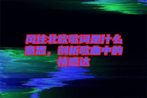 風往北吹歌詞是什么意思，剖析歌曲中的情感達