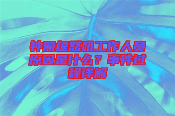 鐘麗緹怒吼工作人員原因是什么？事件過程詳解