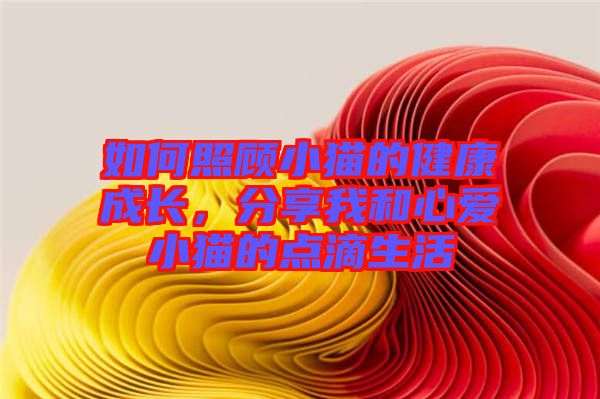 如何照顧小貓的健康成長，分享我和心愛小貓的點(diǎn)滴生活