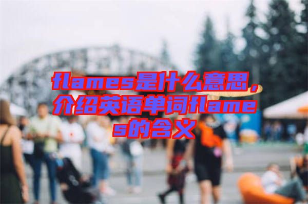 flames是什么意思，介紹英語單詞flames的含義