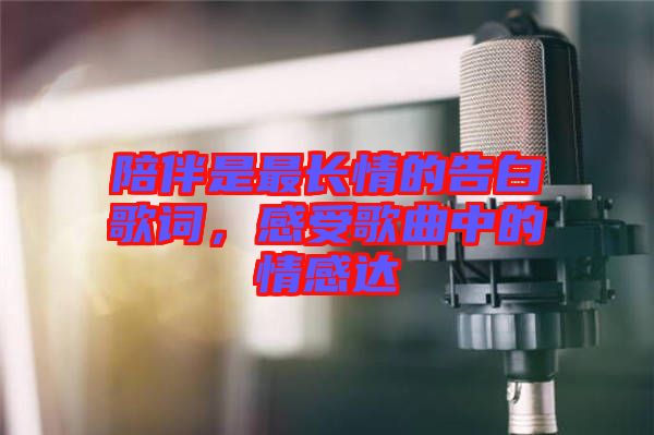 陪伴是最長情的告白歌詞，感受歌曲中的情感達(dá)